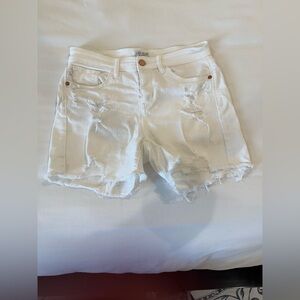 Judy Blue Shorts